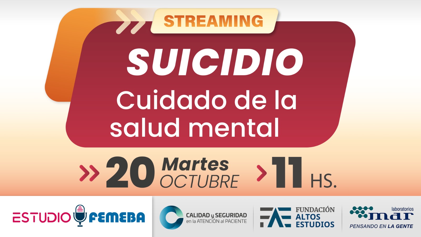Suicidio: cuidado de la salud mental.